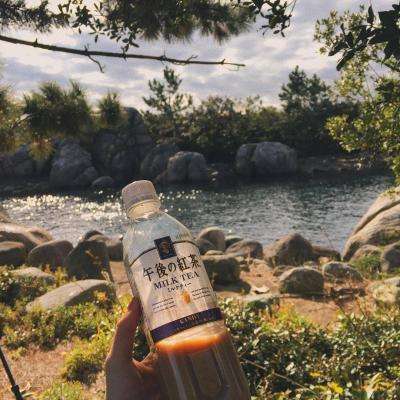 hth·华体育APP下载手机版